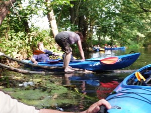 Łobżonka 2013 (15)